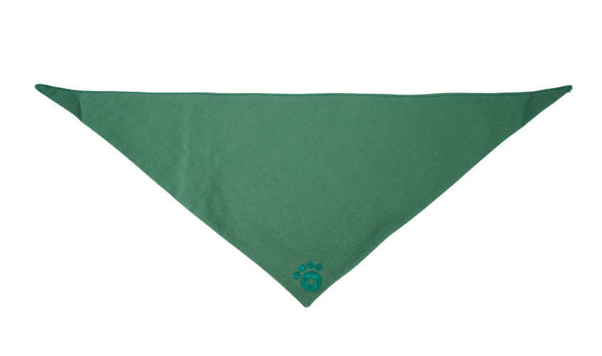 Ollie Bandana: Pistachio