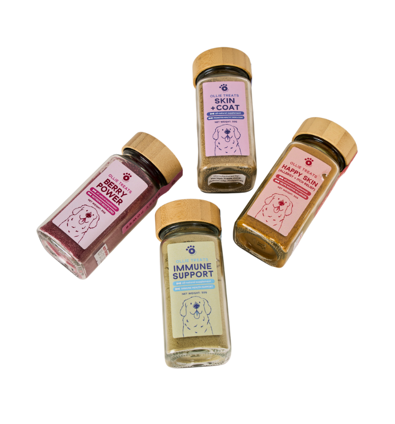 Ollie Treats: Skin + Coat (Supplement)