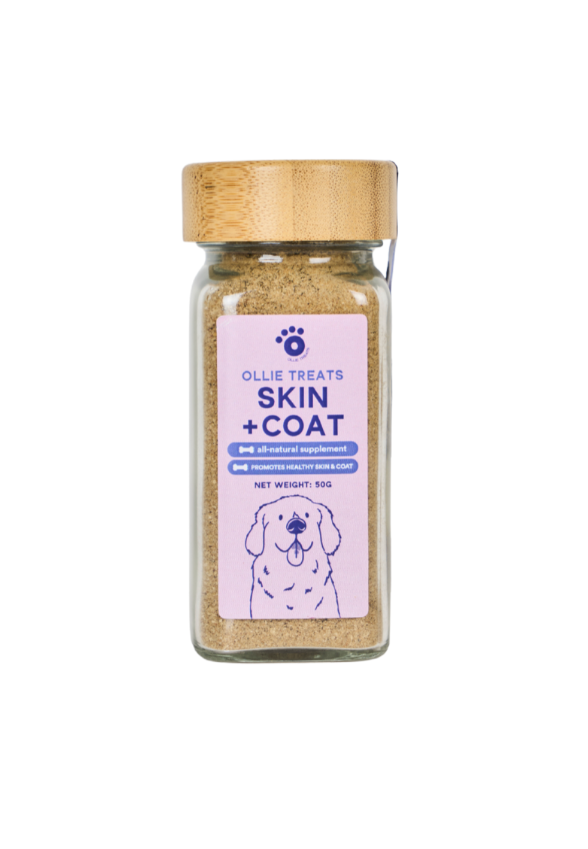 Ollie Treats: Skin + Coat (Supplement)