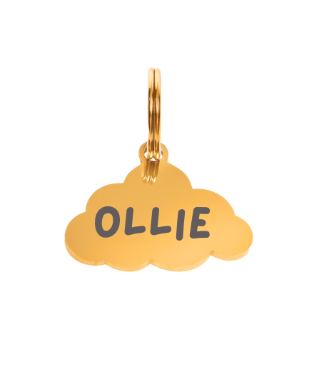 Ollie Tag - Cloud - Gold