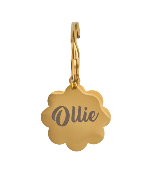 Ollie Tag - Daisy - Gold