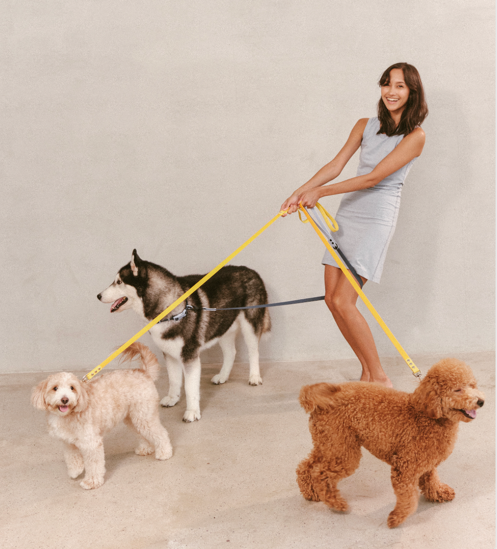 Ollie Walkies Classic - Collar and Leash Set - Mix and Match Set