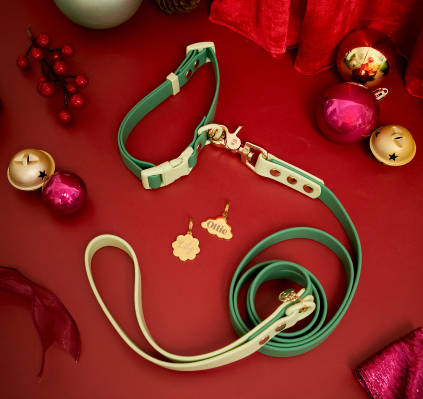 Collar + Leash Bundle