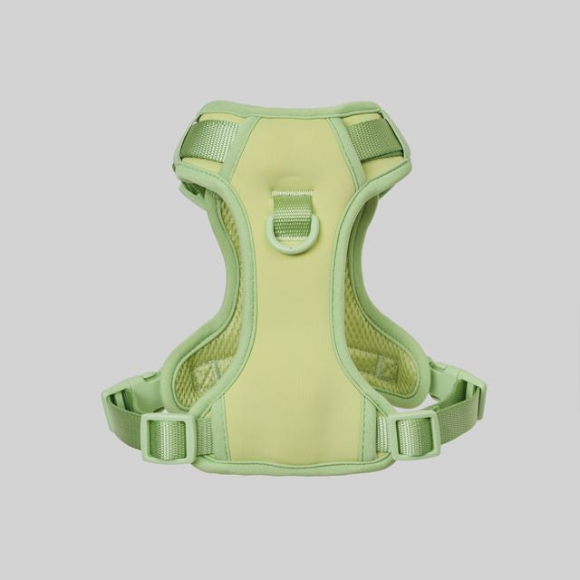 Ollie Walkies: Body Harness - Light Green