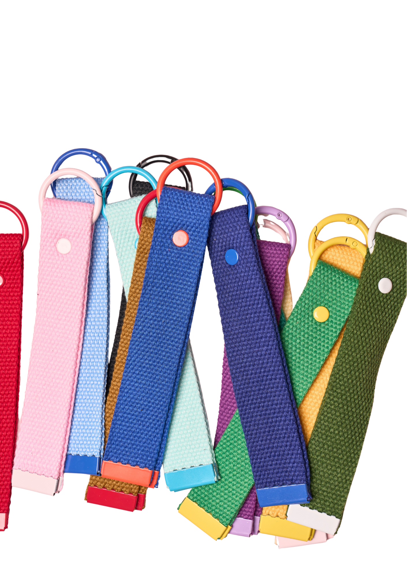 Ollie Bag Tag: Blue and Orange