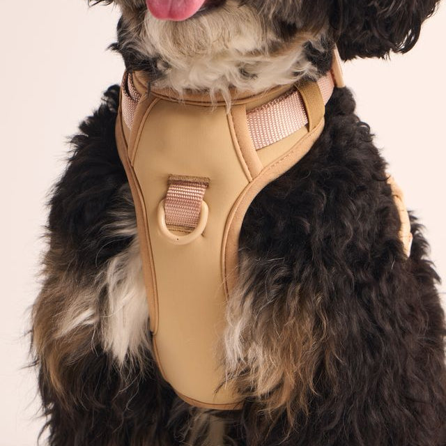 Ollie Walkies: Body Harness - Cinnamon