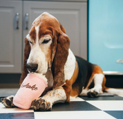 P.L.A.Y Mutts Milkshake - Mini