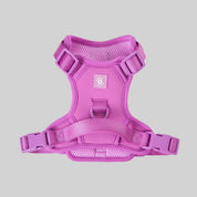 Ollie Walkies: Body Harness - Purple