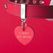 MyFamily Pet Tag: Basic Aluminum Red Big Heart