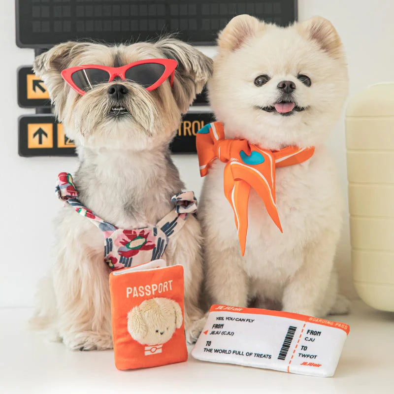 bite-me-bite-me-x-jeju-air-passport-and-boarding-pass-nose-work-toy-671804.webp