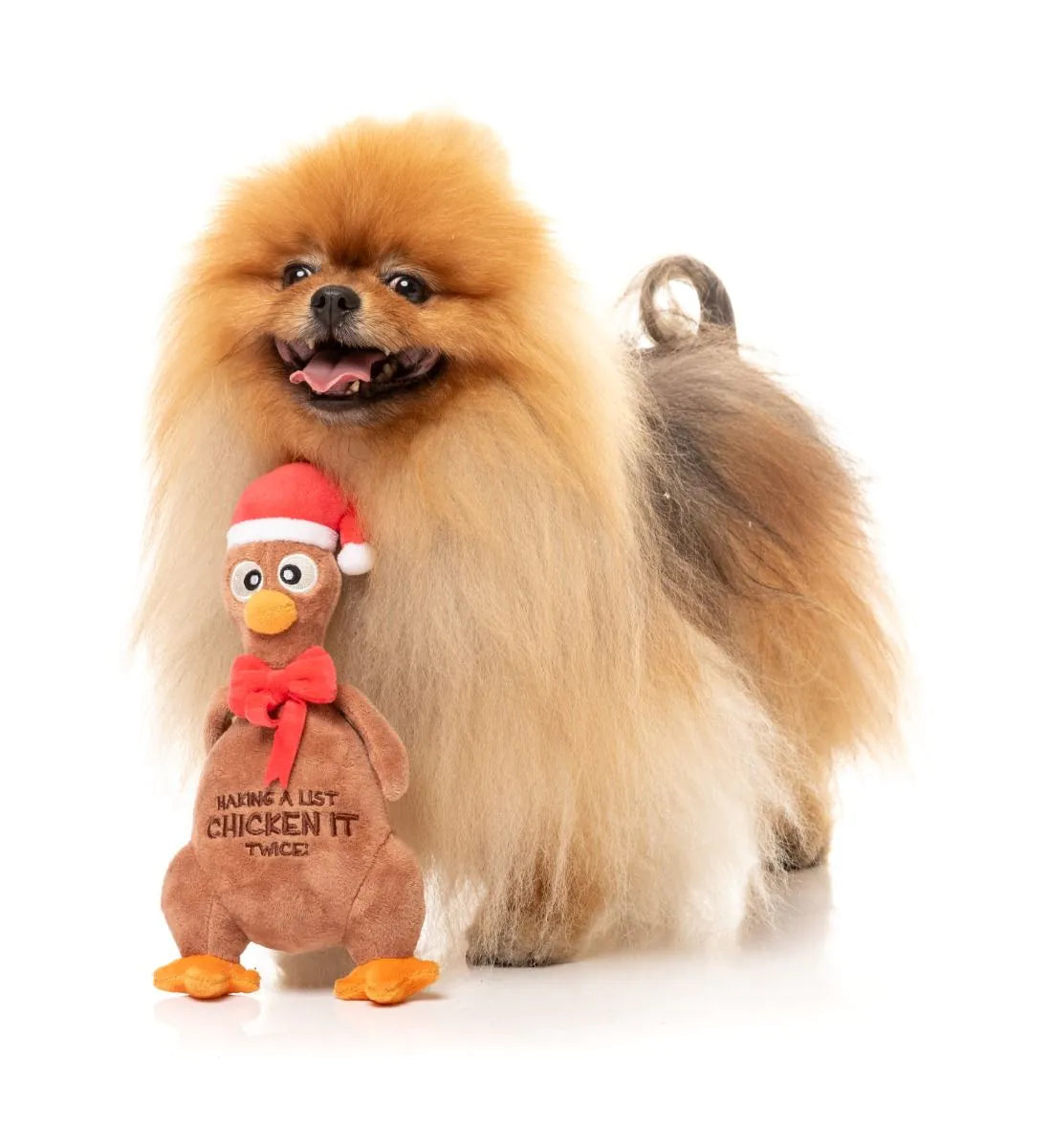 fzt1649_xmas_dogtoy_chickenittwicechook_dog01.webp