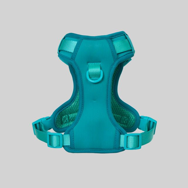 Ollie Walkies:  Body Harness - Teal