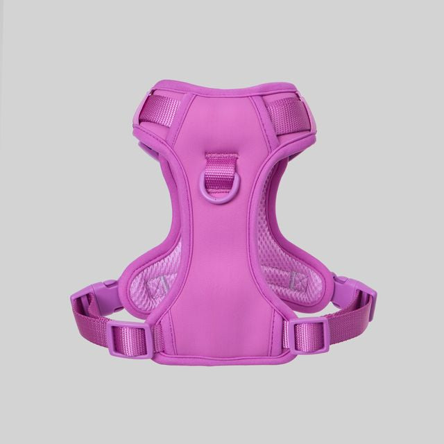 Ollie Walkies: Body Harness - Purple