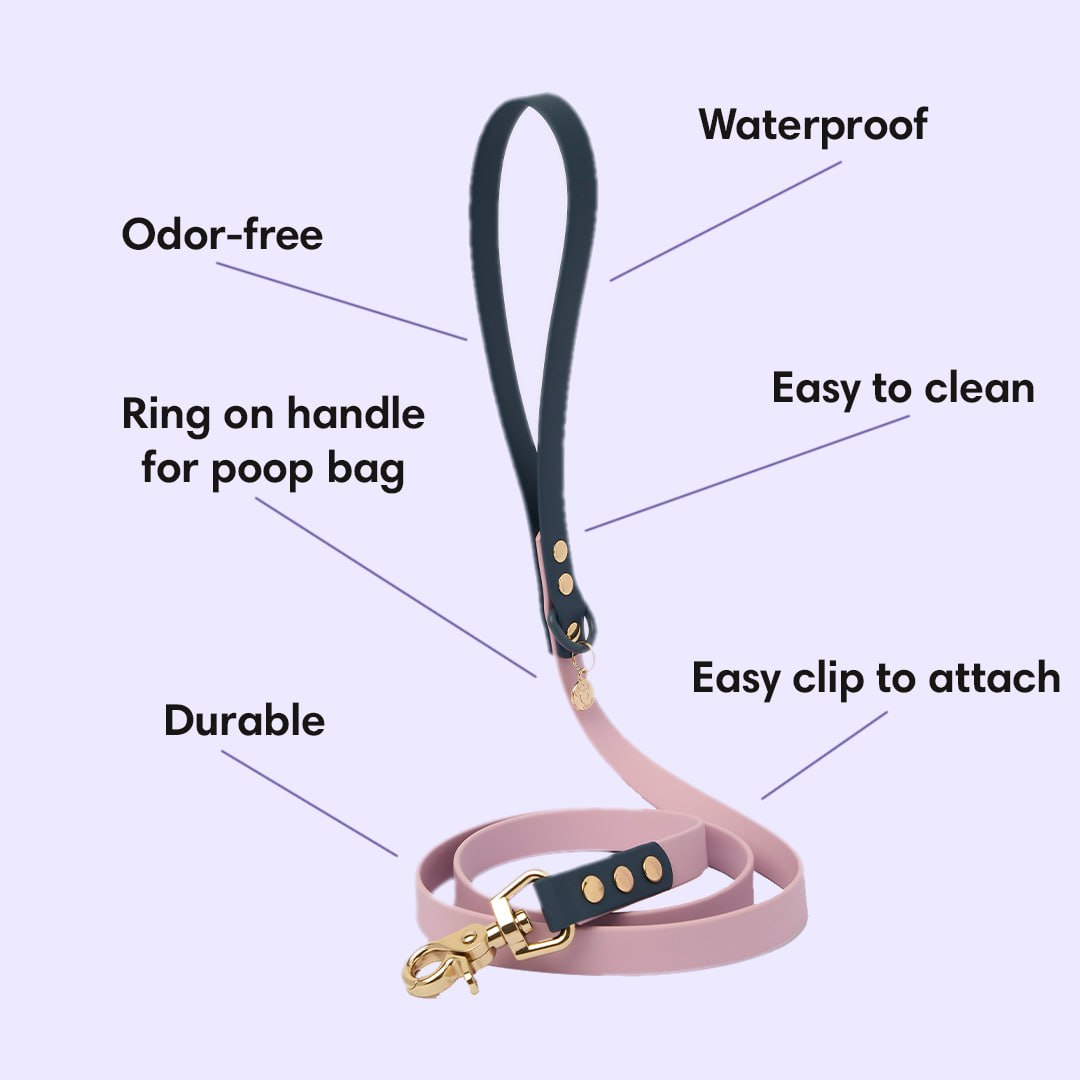 Ollie Walkies: Classic - Aqua (Leash)