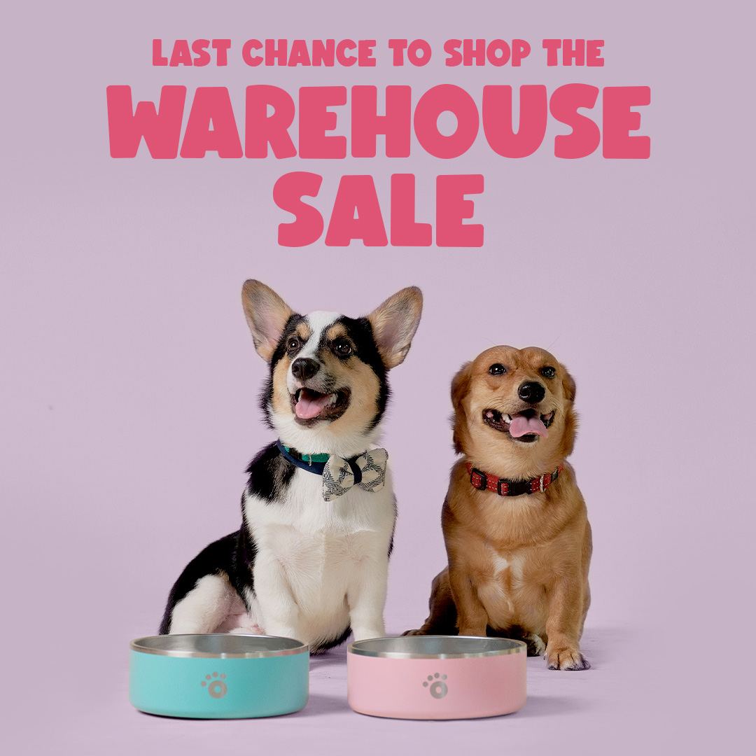Warehouse Bowls: 24oz
