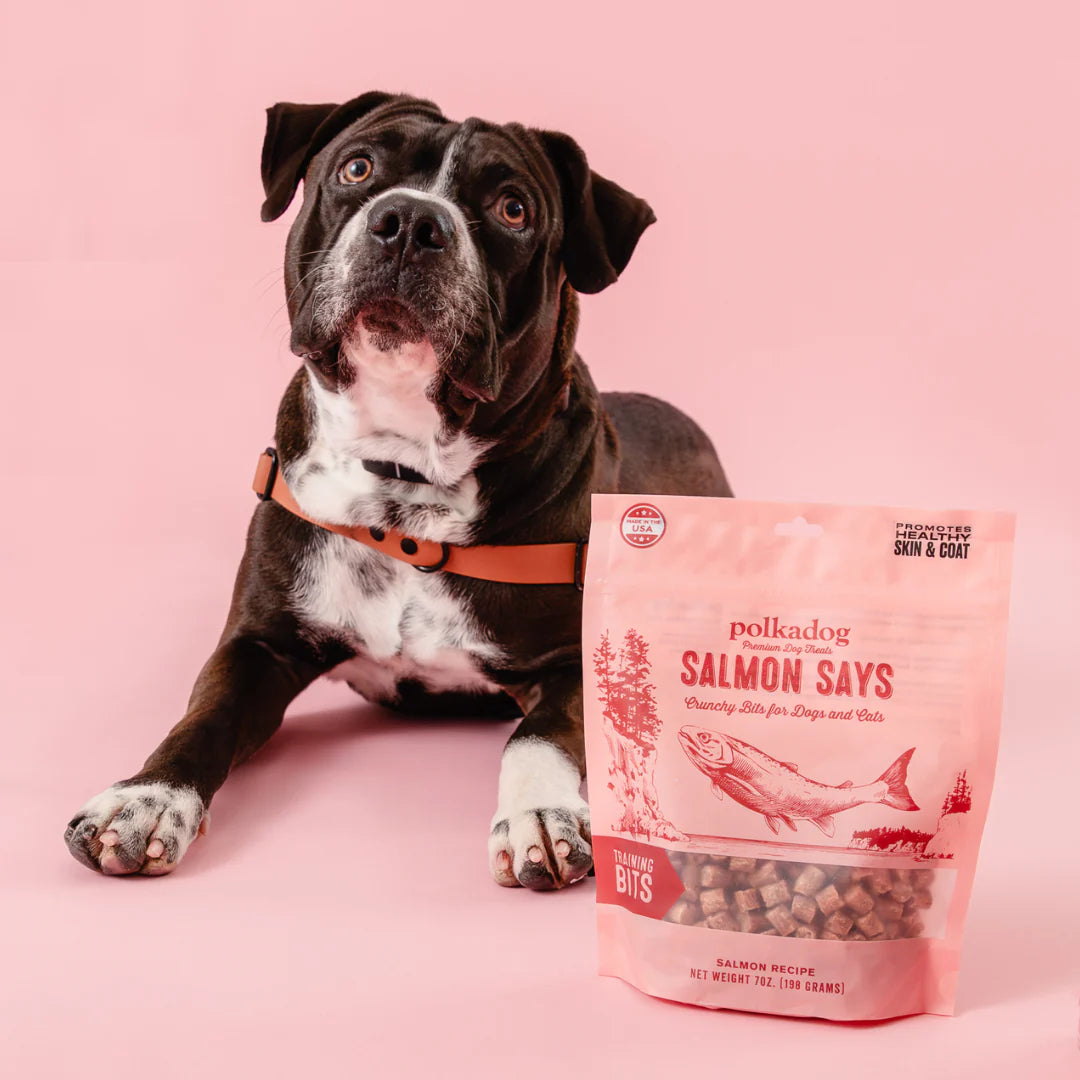 Polkadog: Salmon Says 7oz Pouch