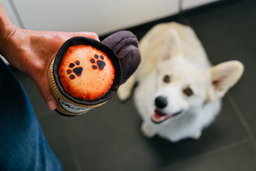 P.L.A.Y Doggo's Java