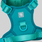 Ollie Walkies:  Body Harness - Teal