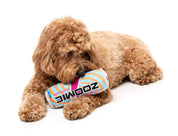 FuzzYard Zoomie Energy Drink