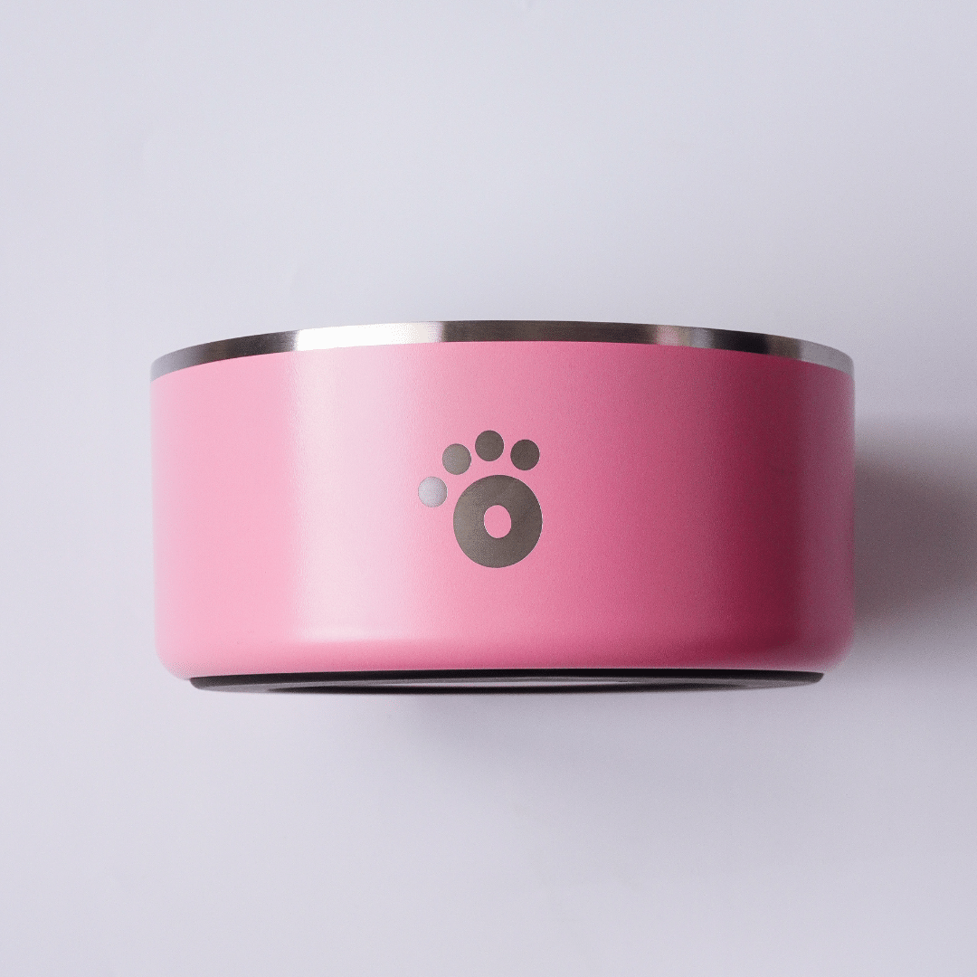 Pink - Ollie Bowl (64oz)
