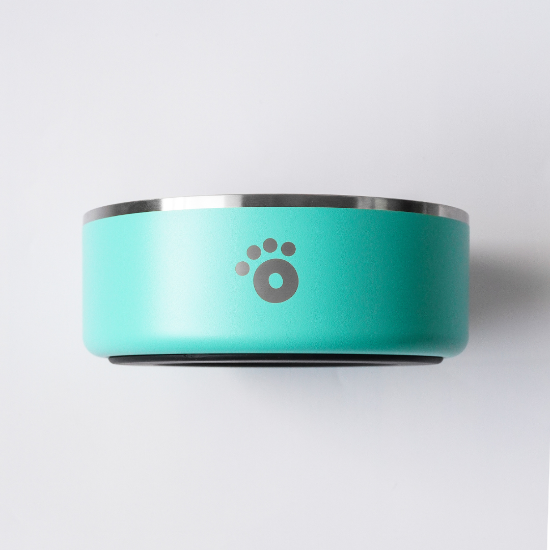 Aqua - Ollie Bowl (32oz)