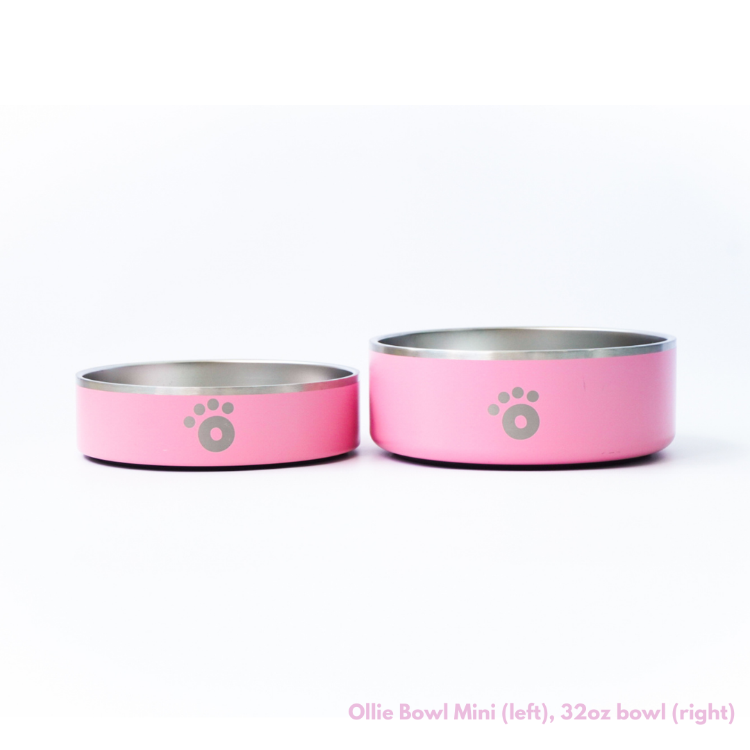 Pink - Ollie Bowl Mini (24oz)