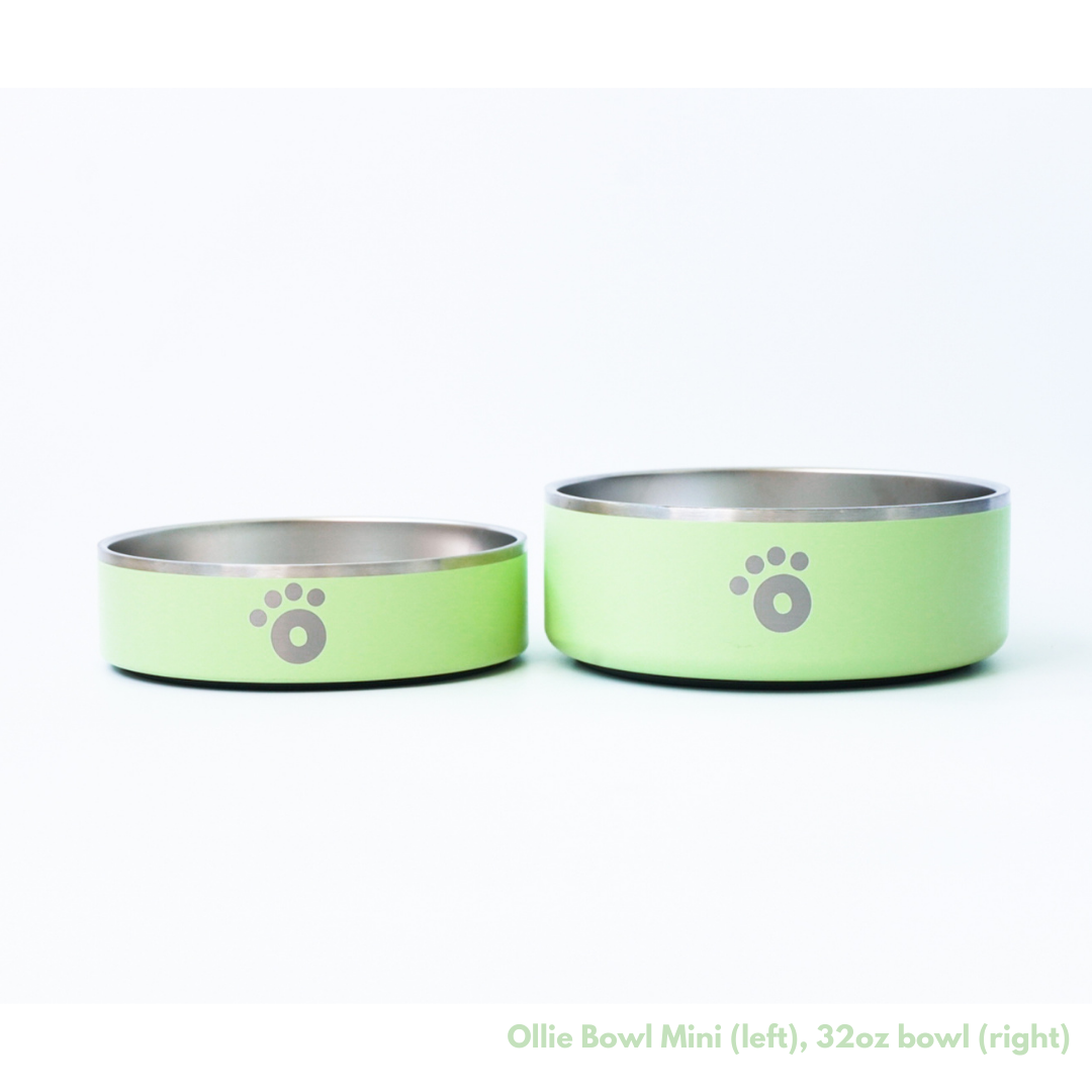 Pastel Green - Ollie Bowl Mini (24oz)