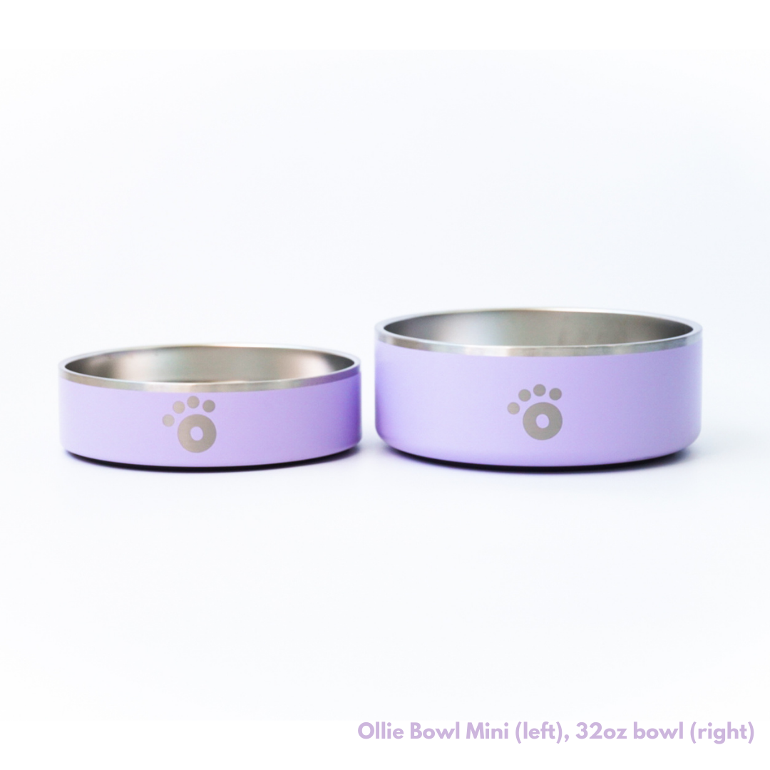Lilac - Ollie Bowl Mini (24oz)