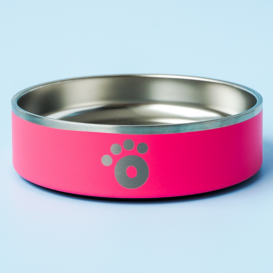 Lizi Pink - Ollie Bowl Mini (24oz)