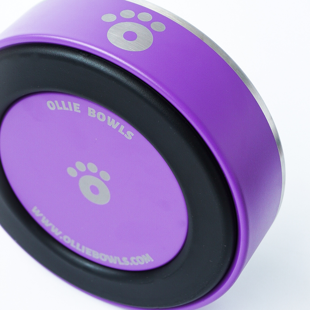 Ube Purple - Ollie Bowl Mini (24oz)