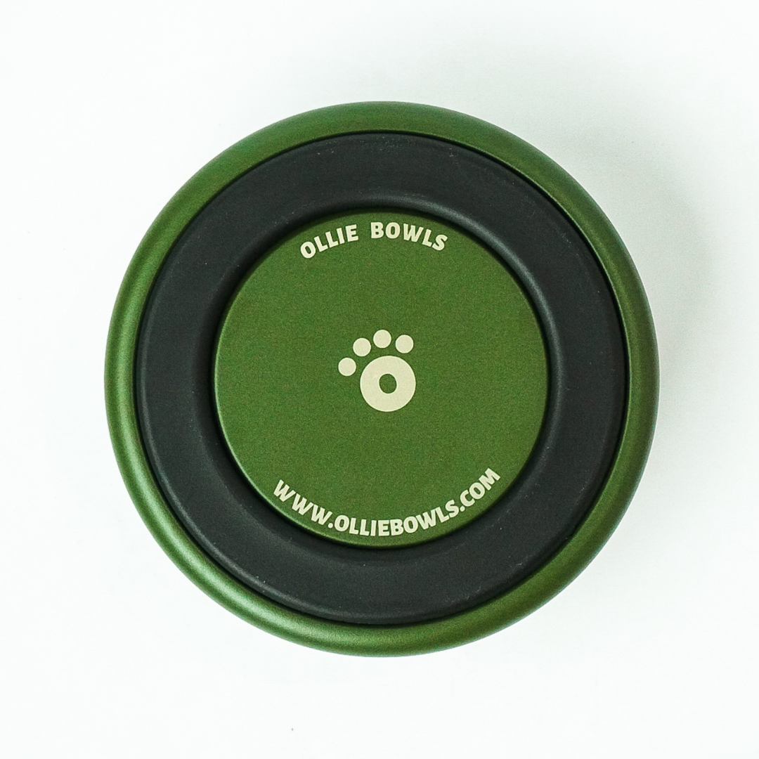 Forest Green - Ollie Bowl (32oz)