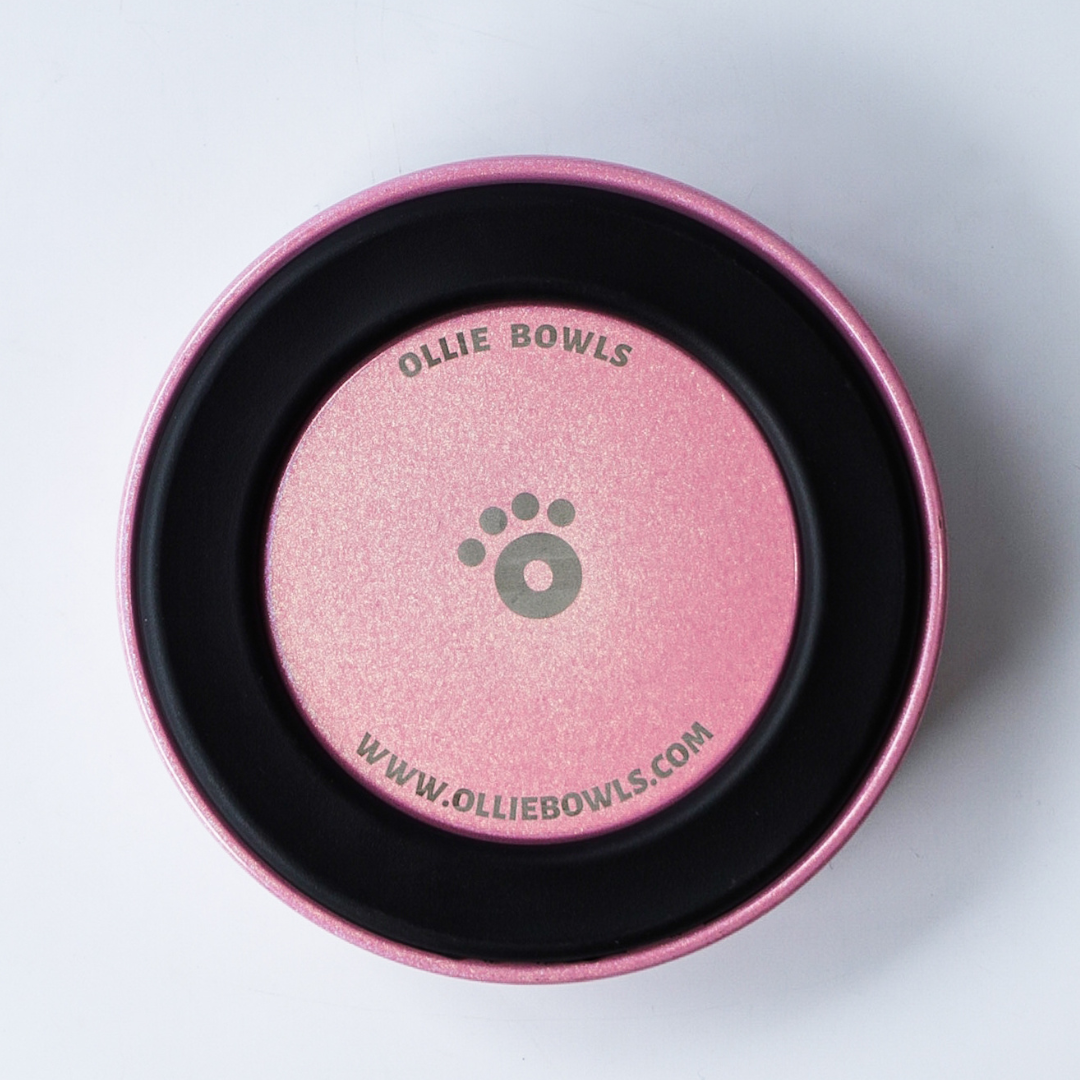 Champagne Pink - Ollie Bowl Mini (24oz)