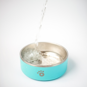 Aqua - Ollie Bowl (32oz)