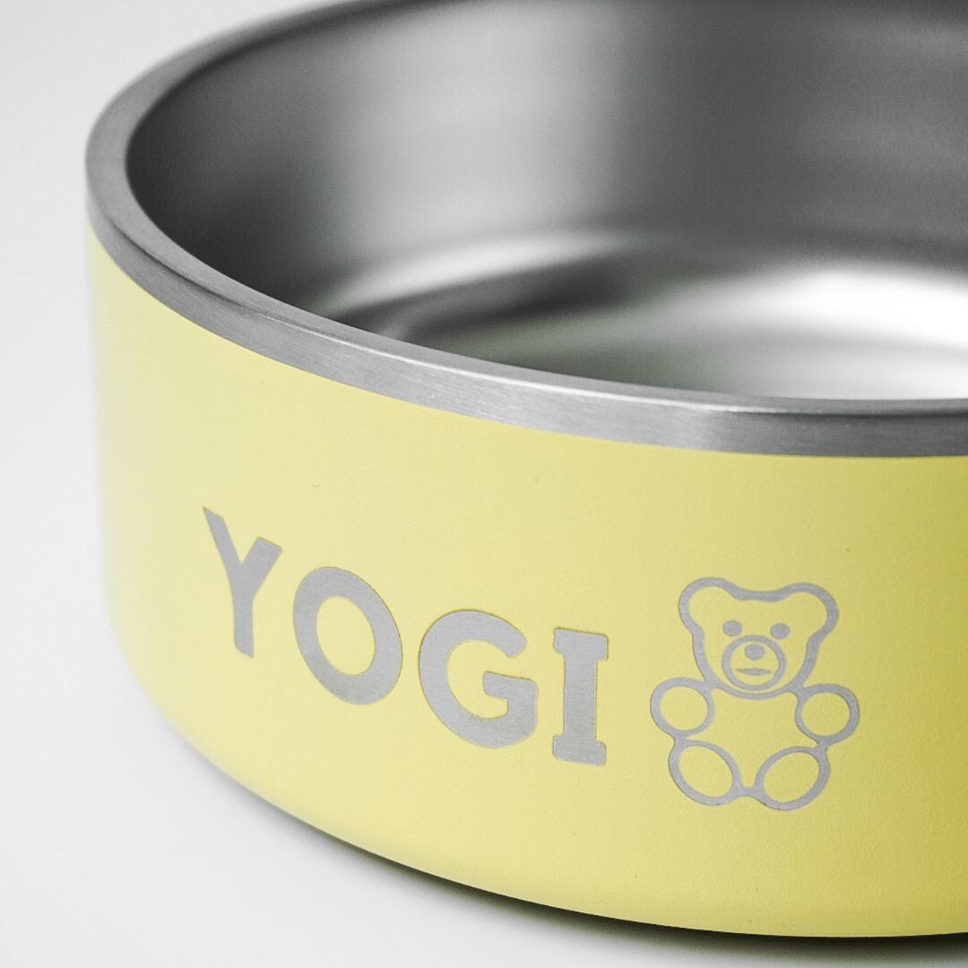 Pastel Yellow Ollie Bowl (32oz) - Main Image