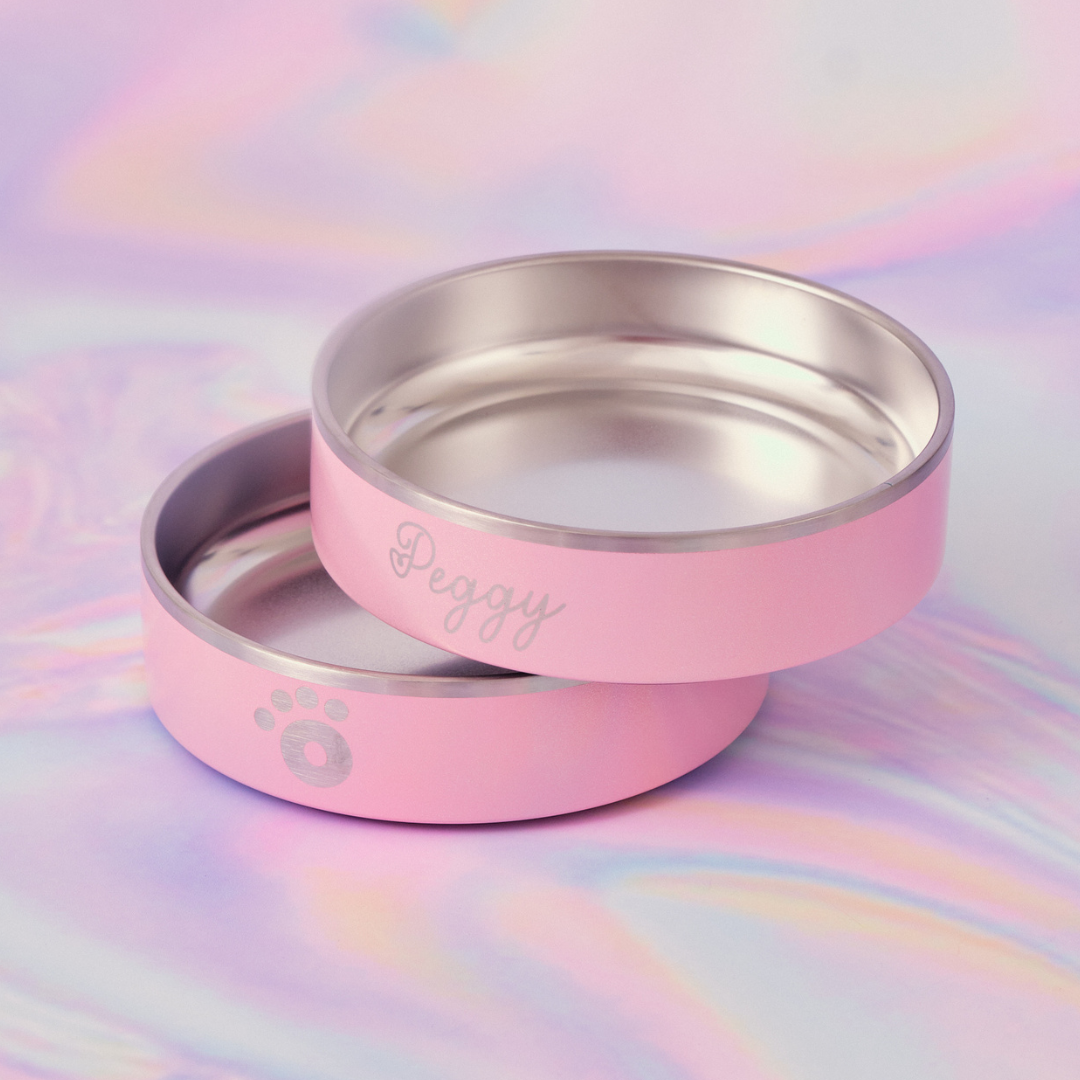 Champagne Pink - Ollie Bowl Mini (24oz)