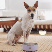 Lilac - Ollie Bowl (64oz)