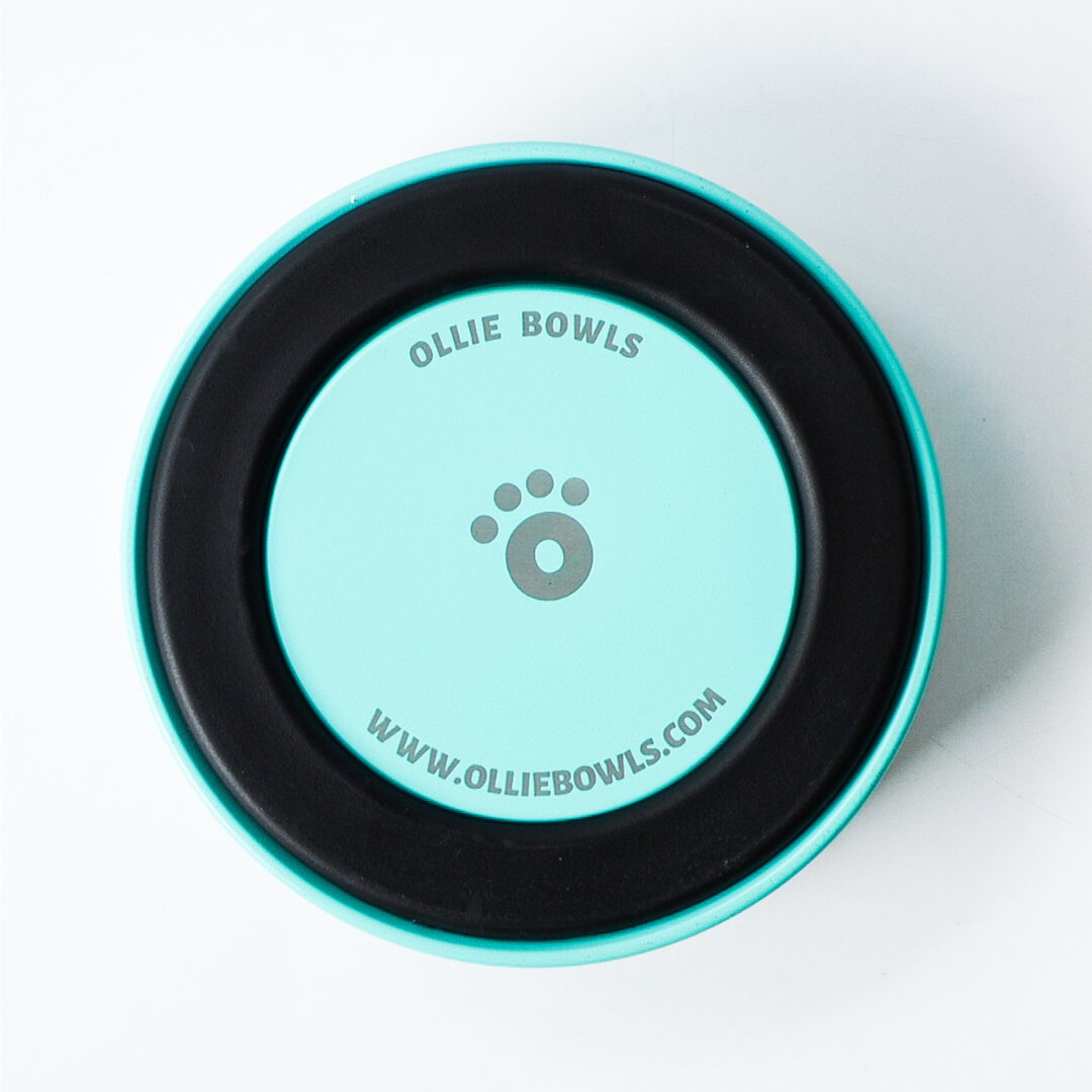 Pastel Blue - Ollie Bowl Mini (24oz)