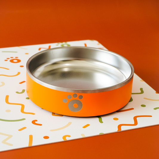 Orange - Ollie Bowl Mini (24oz)